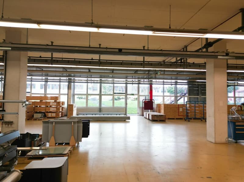 3'763m2 - Spazi di stoccaggio, logistica o produzione di alta qualità (5)