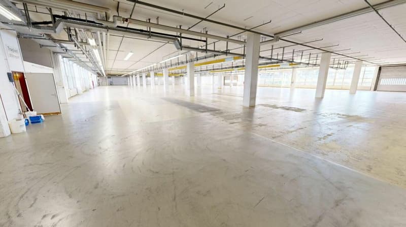 3'763m2 - Erstklassige Lager-, Logistik- oder Produktionsflächen (8)