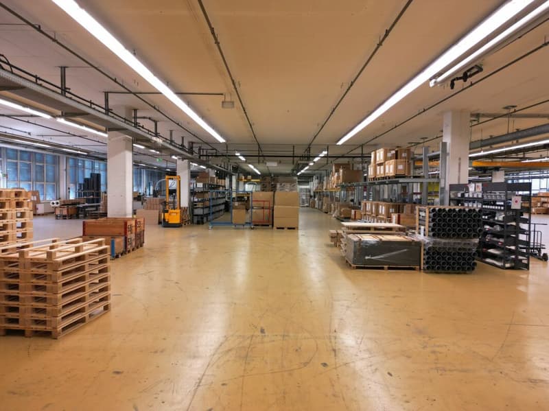 3'763m2 - Spazi di stoccaggio, logistica o produzione di alta qualità (6)
