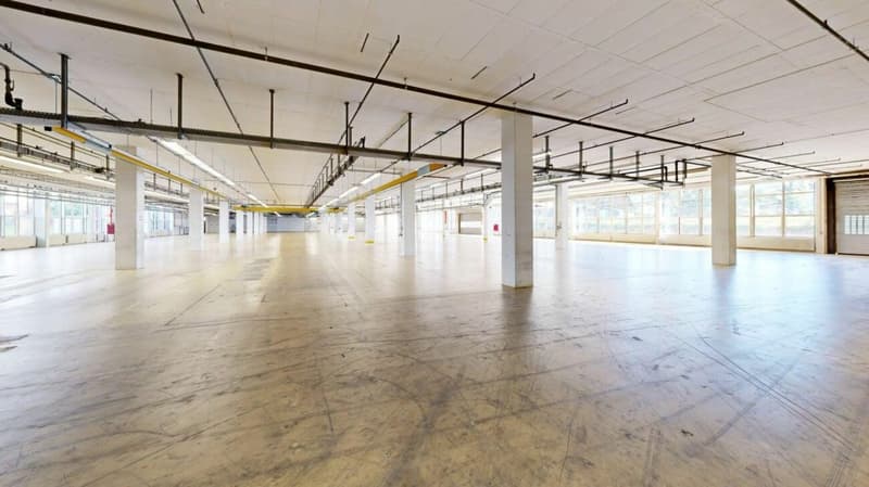 3'763m2 - Erstklassige Lager-, Logistik- oder Produktionsflächen (3)