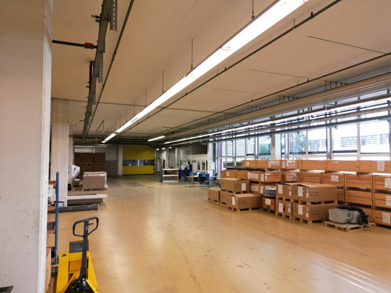 3'763m2 - Spazi di stoccaggio, logistica o produzione di alta qualità (4)