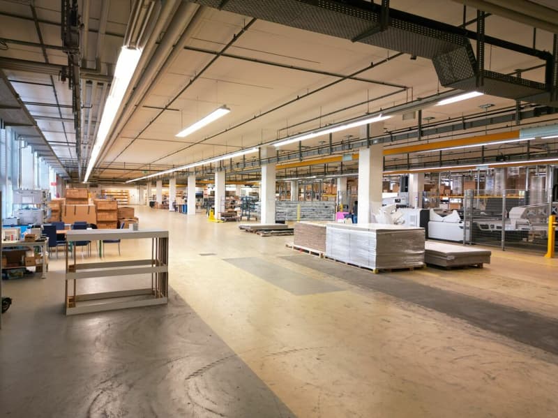 3'763m2 - Spazi di stoccaggio, logistica o produzione di alta qualità (9)