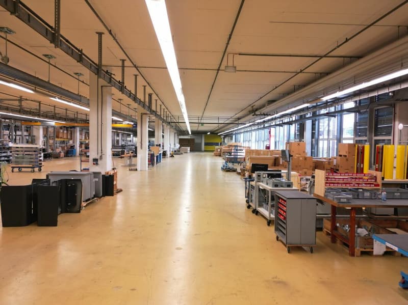 3'763m2 - Spazi di stoccaggio, logistica o produzione di alta qualità (7)