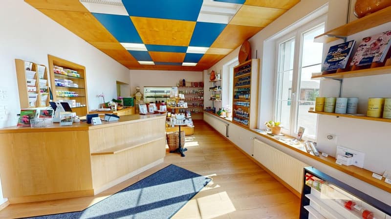 Maison d'habitation et/ou propriété commerciale, Platz 1192, Walzenhausen Copie (9)