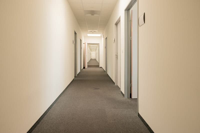 Spazi commerciali attraenti per ufficio, studio e altri servizi in FRAME Altstätten SG (4)