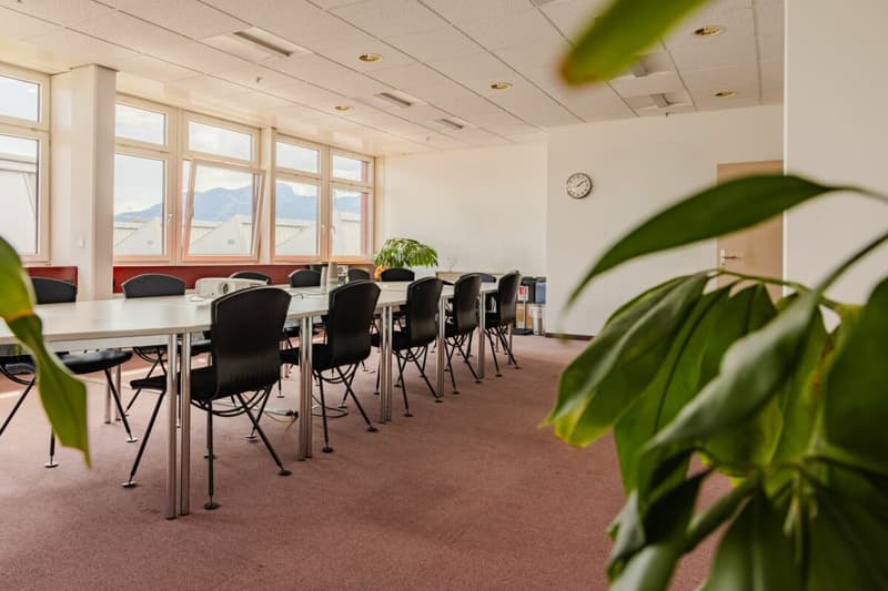 Spazi commerciali attraenti per ufficio, studio e altri servizi in FRAME Altstätten SG (3)