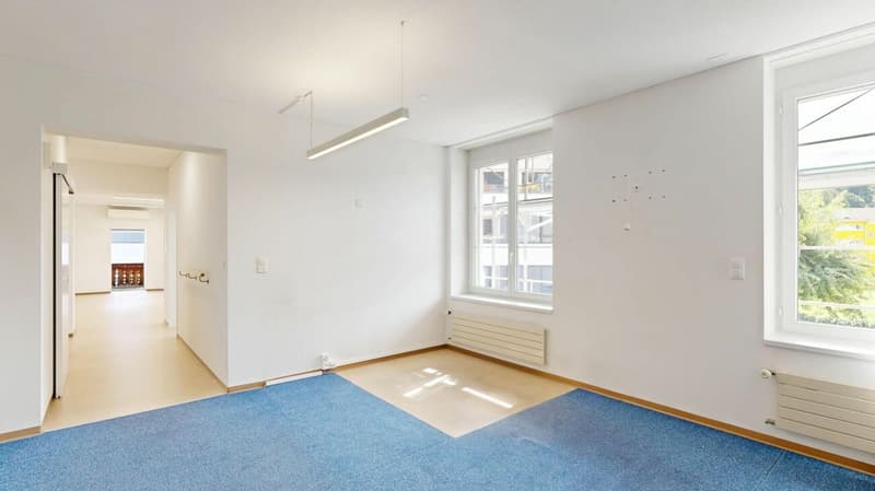 Espace de pratique/commercial polyvalent avec possibilité de parking (4)