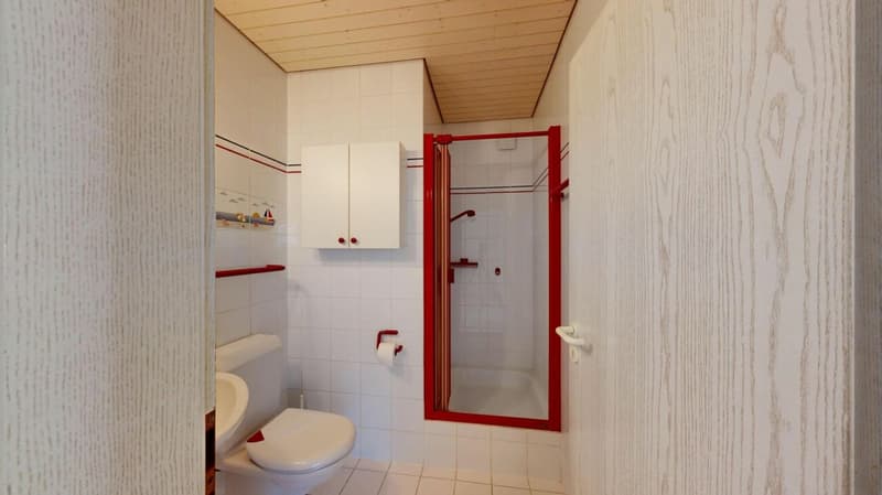 Attractive 5.5 room attic apartment with a far-reaching view (11)