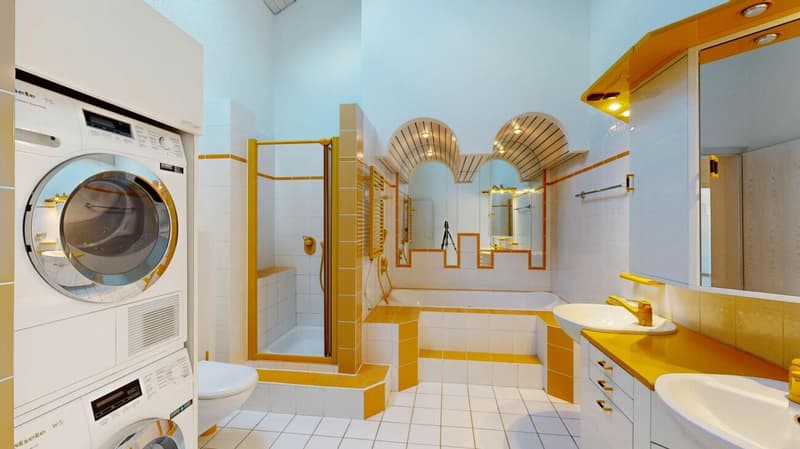 Attractive 5.5 room attic apartment with a far-reaching view (10)