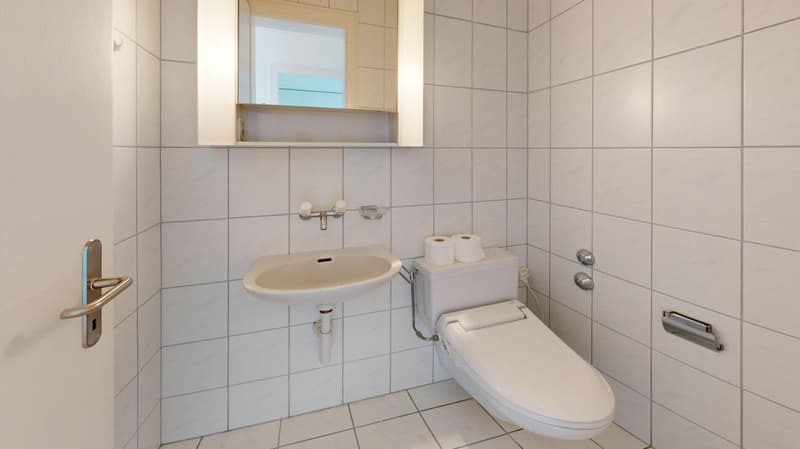 Attractive 4.5 room attic apartment in a quiet residential area (14)
