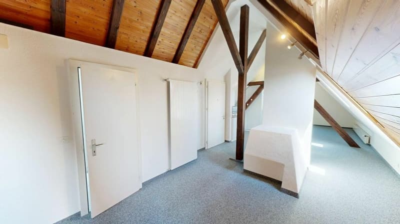 Dachwohnung mit Charme (3)