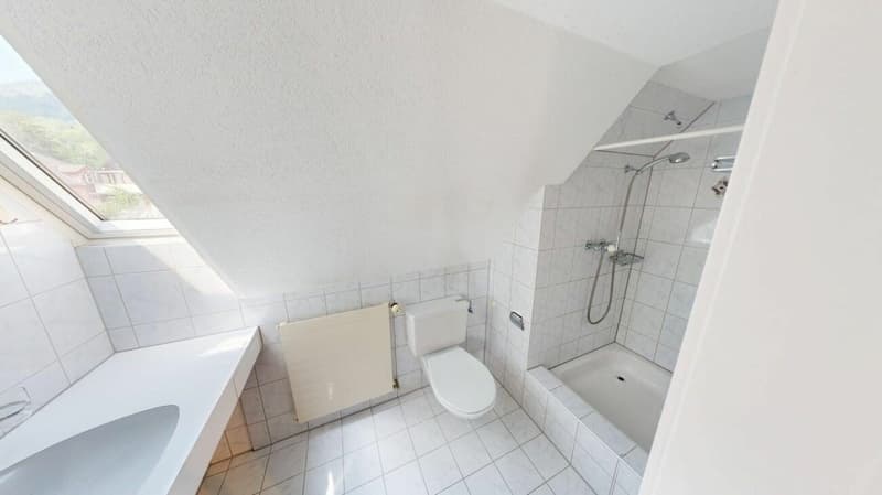Dachwohnung mit Charme (6)