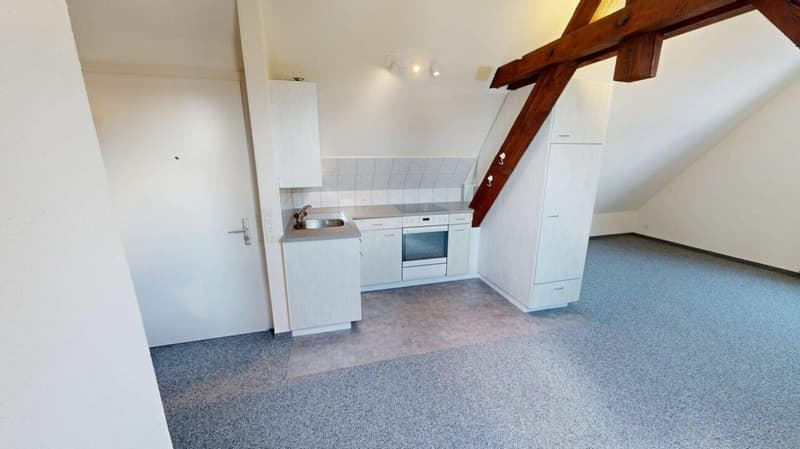 Dachwohnung mit Charme (4)