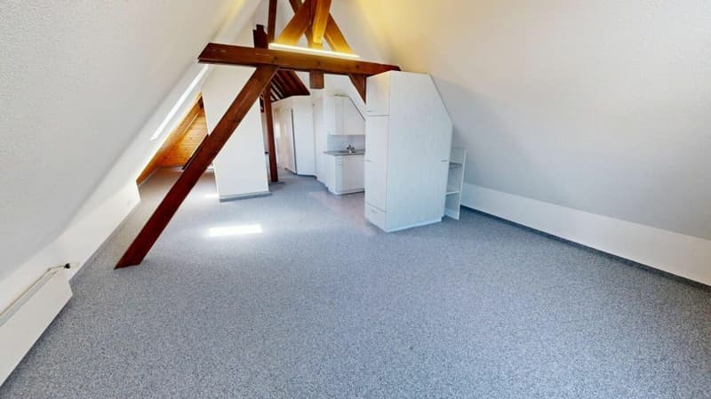 Dachwohnung mit Charme (2)