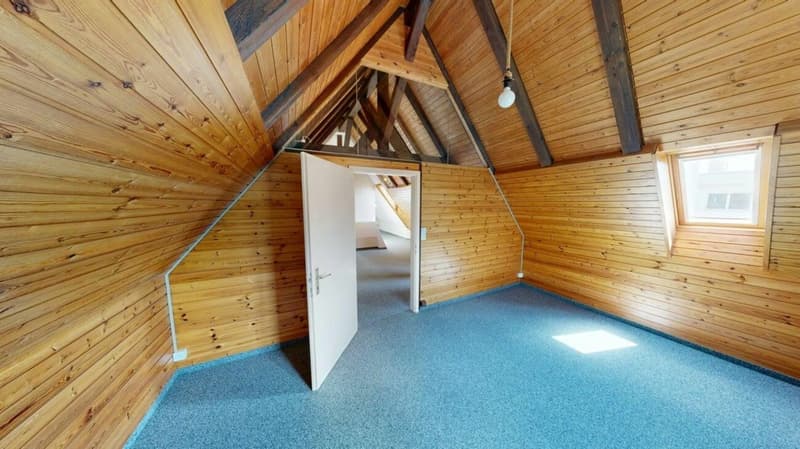 Dachwohnung mit Charme (5)