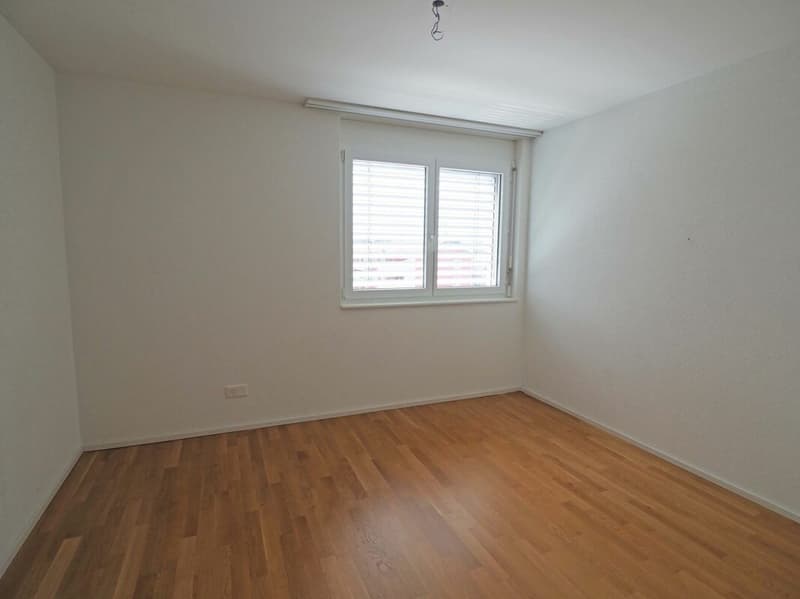 Ampia maisonetta di 4.5 locali a Diepoldsau (10)