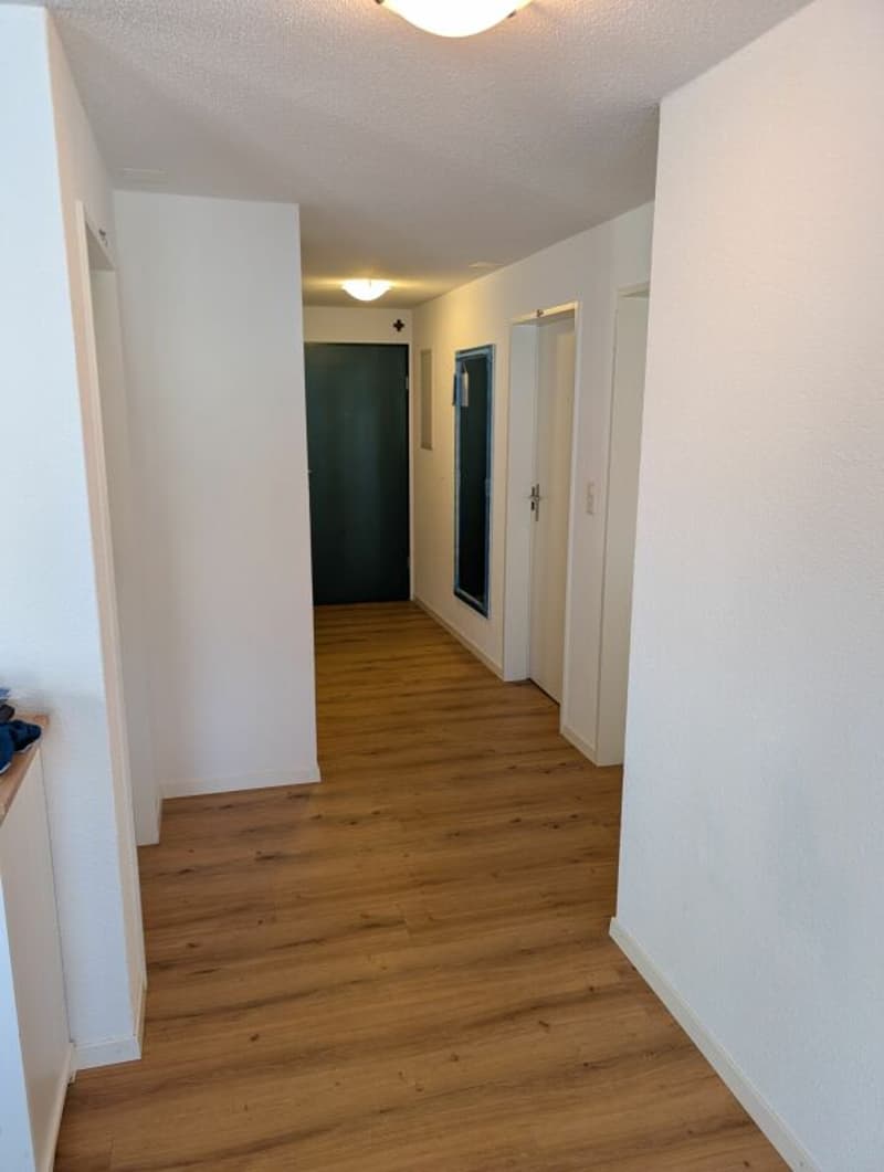 Appartement-maisonnette de 4,5 pièces inondé de lumière (15)