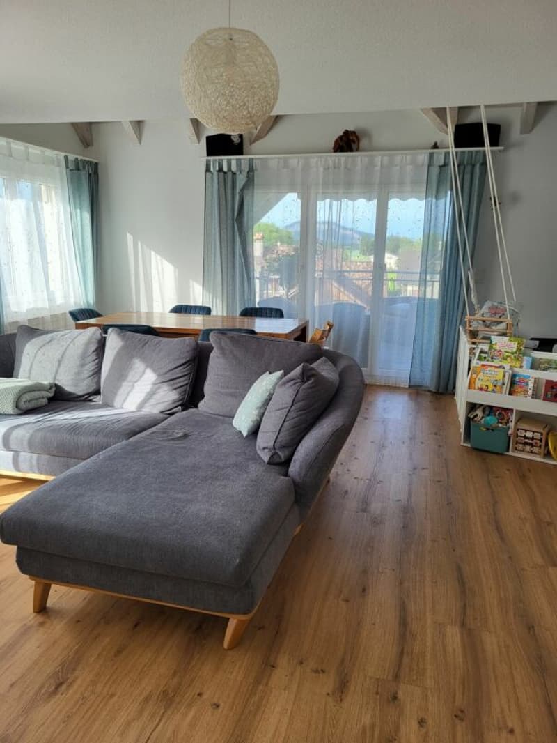 Appartement-maisonnette de 4,5 pièces inondé de lumière (4)