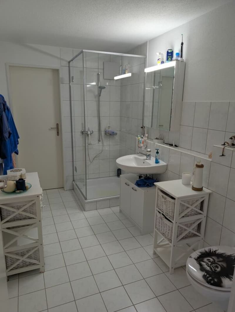 Appartement-maisonnette de 4,5 pièces inondé de lumière (14)