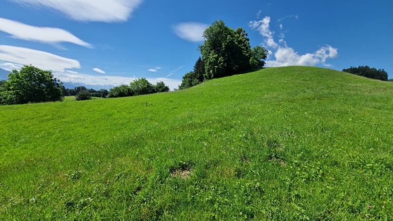 Building land "Wilen", Walzenhausen (6)