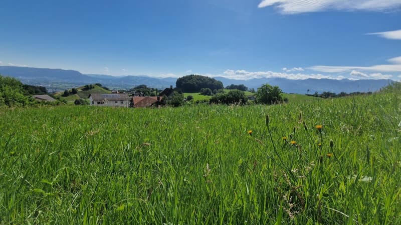 Building land "Wilen", Walzenhausen (5)