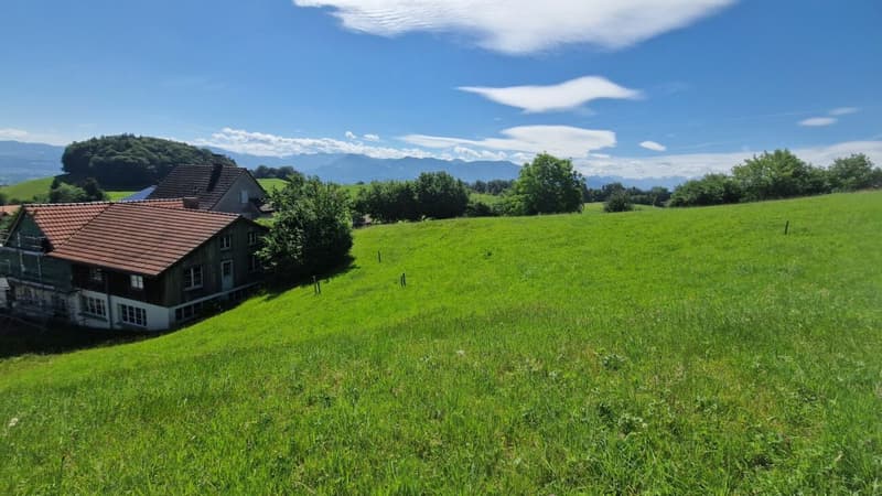 Building land "Wilen", Walzenhausen (3)