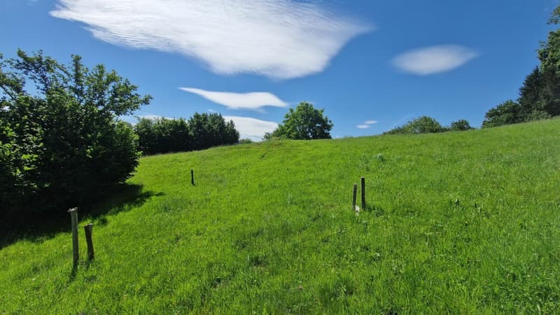 Building land "Wilen", Walzenhausen (4)