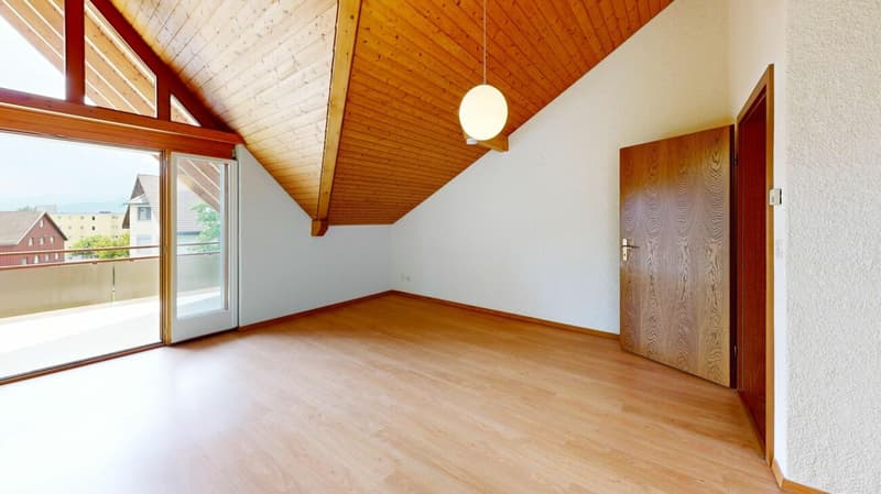 Charming 5.5 room attic apartment (14)