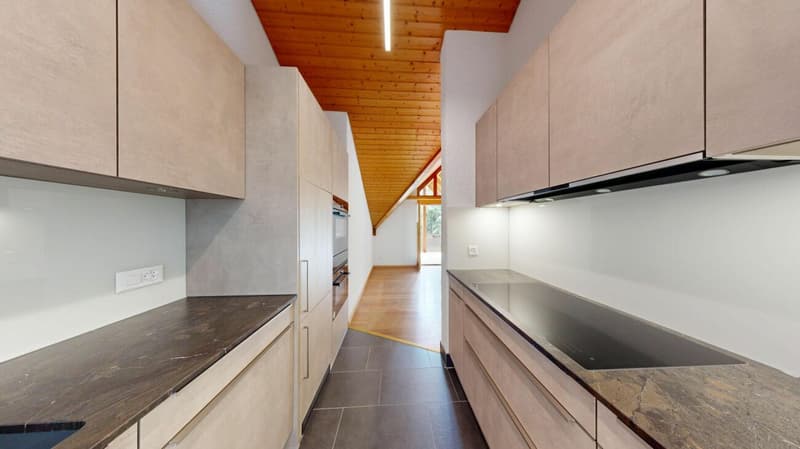 Charming 5.5 room attic apartment (8)