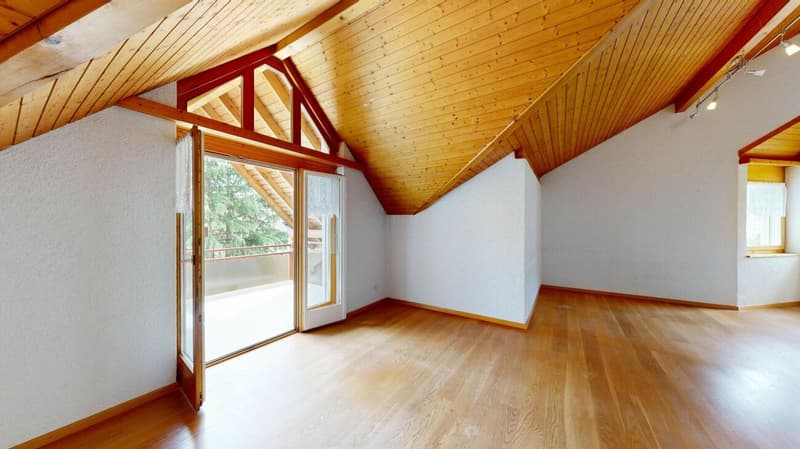 Charming 5.5 room attic apartment (5)