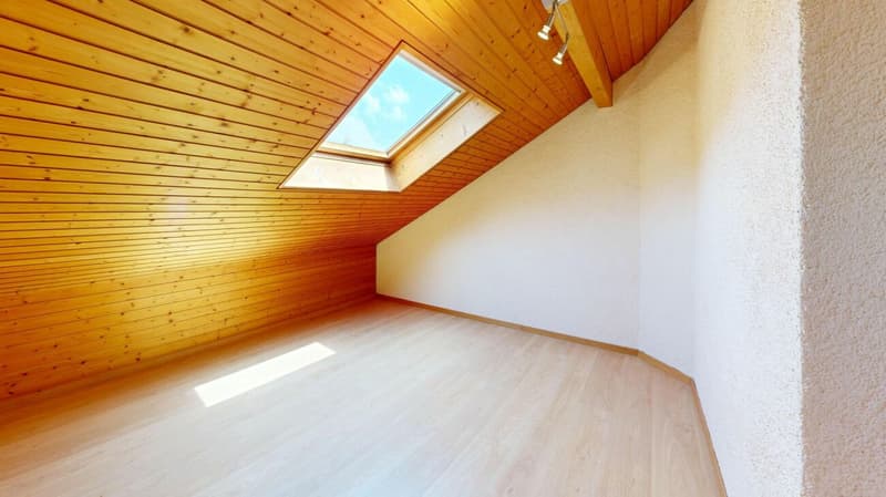 Charming 5.5 room attic apartment (13)