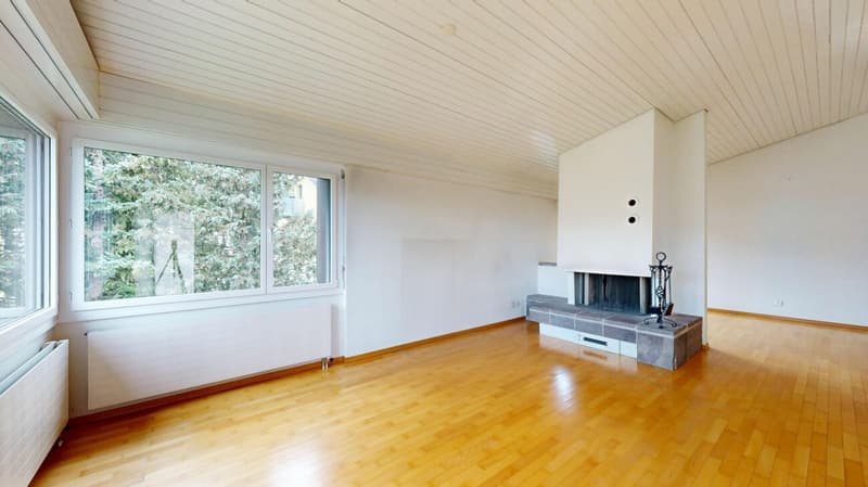 Attraktive 4.5 Zimmer-Dachwohnung mit Weitblick (3)