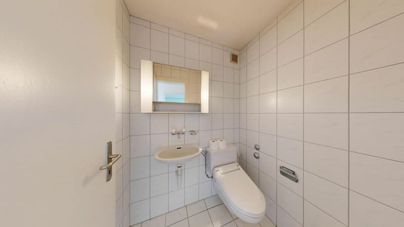 Attraktive 4.5 Zimmer-Dachwohnung mit Weitblick (9)