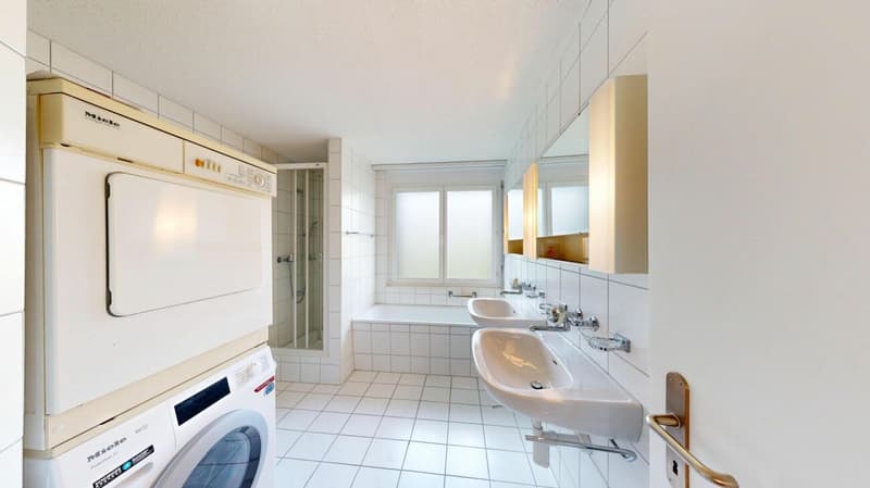 Attraktive 4.5 Zimmer-Dachwohnung mit Weitblick (8)