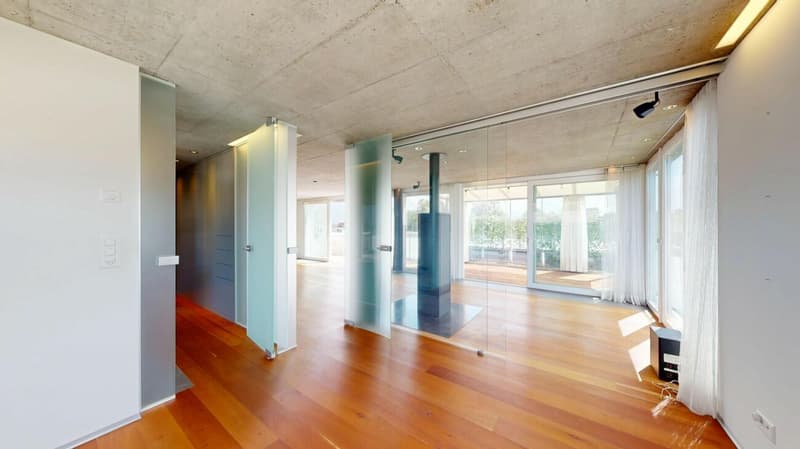 Loft-Wohnung, Birkenstrasse 49, Widnau (8)