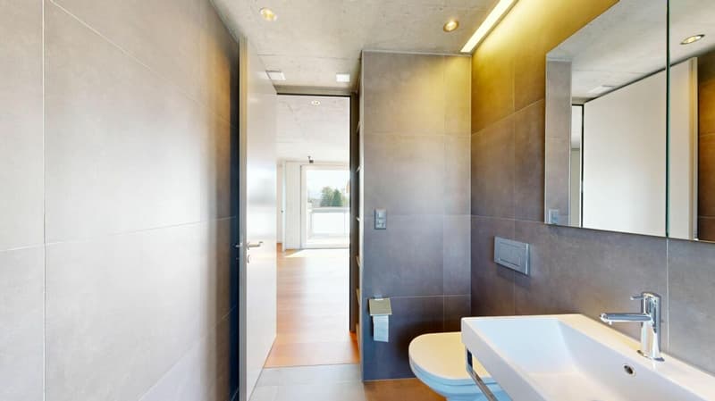 Loft-Wohnung, Birkenstrasse 49, Widnau (9)