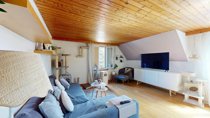 Ehemaliges Stickereihaus mit viel Potenzial und Charakter (16)