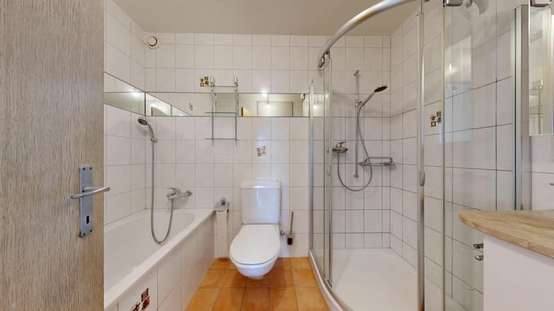 4.5-Zimmer-Parterrewohnung mit herrlicher Aussicht (11)