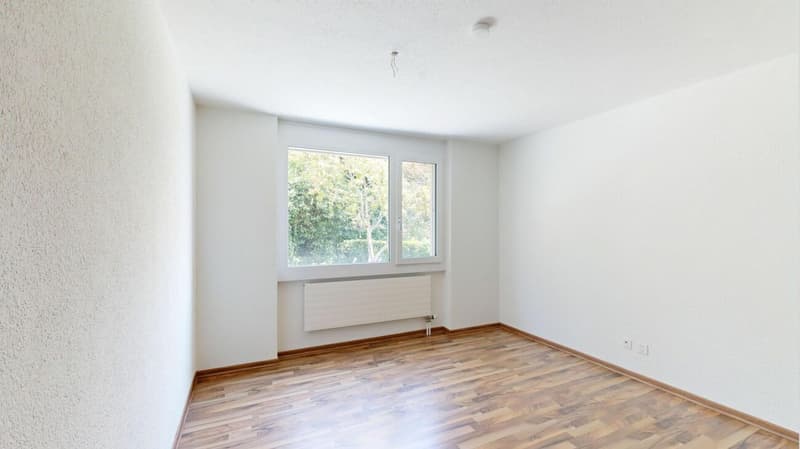 4.5-Zimmer-Parterrewohnung mit herrlicher Aussicht (8)
