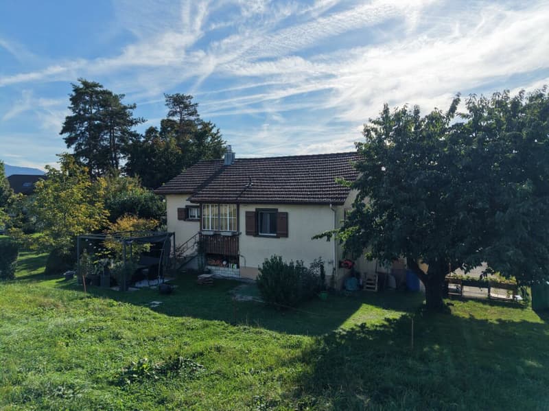3.5 Zimmer Einfamilienhaus mit privatem Gartenbereich (5)