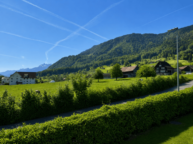 Aussicht