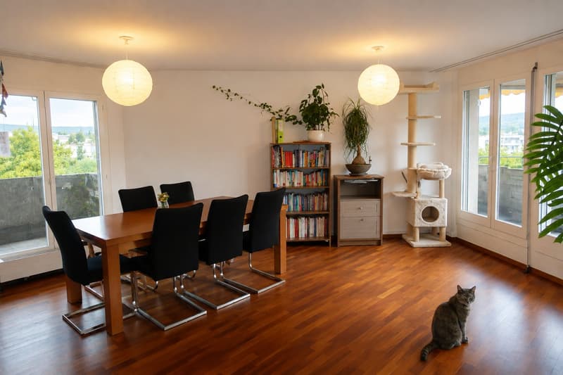 Sonnige Attikawohnung mit grosser Terrasse und Weitsicht im beliebten Zürich-Schwamendingen (5)