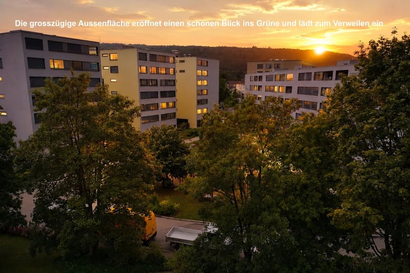 Sonnige Attikawohnung mit grosser Terrasse und Weitsicht im beliebten Zürich-Schwamendingen (14)