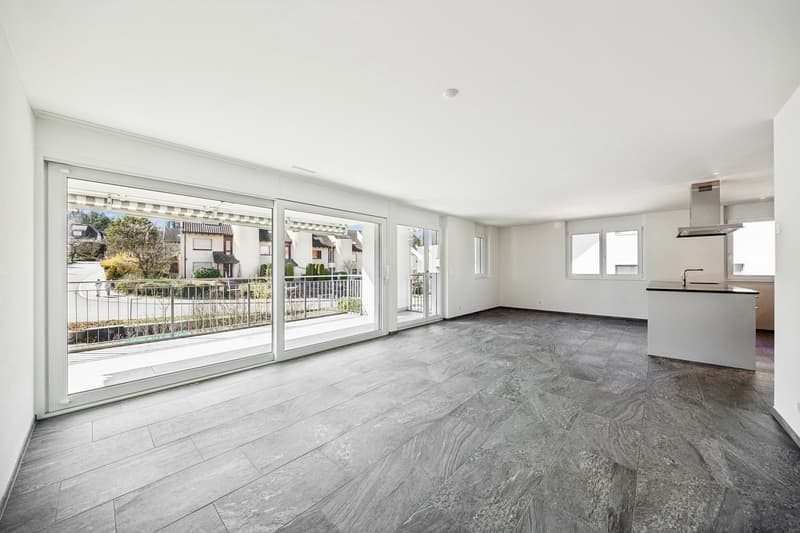 Bel appartement 4.5 pièces à louer (4)