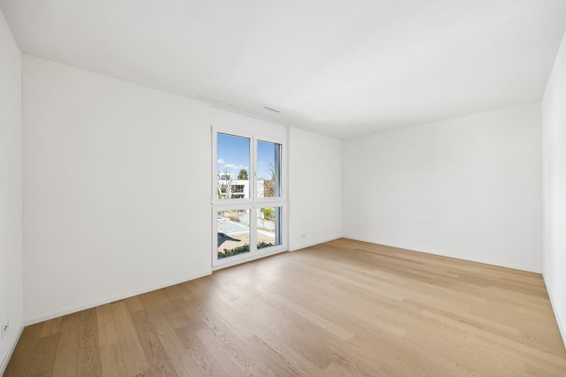 Bel appartement 4.5 pièces à louer (5)