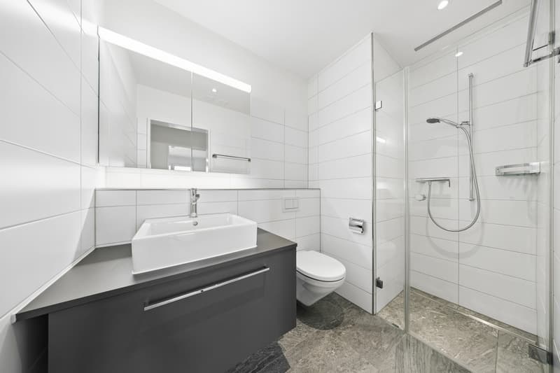 Bel appartement 4.5 pièces à louer (8)