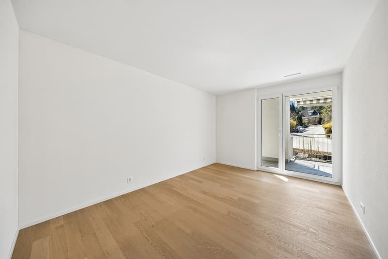 Bel appartement 4.5 pièces à louer (6)