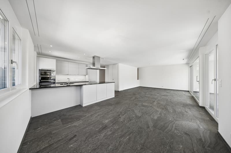 Bel appartement 4.5 pièces à louer (3)
