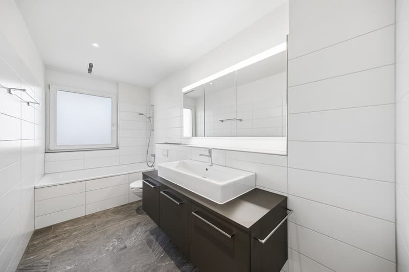 Bel appartement 4.5 pièces à louer (7)
