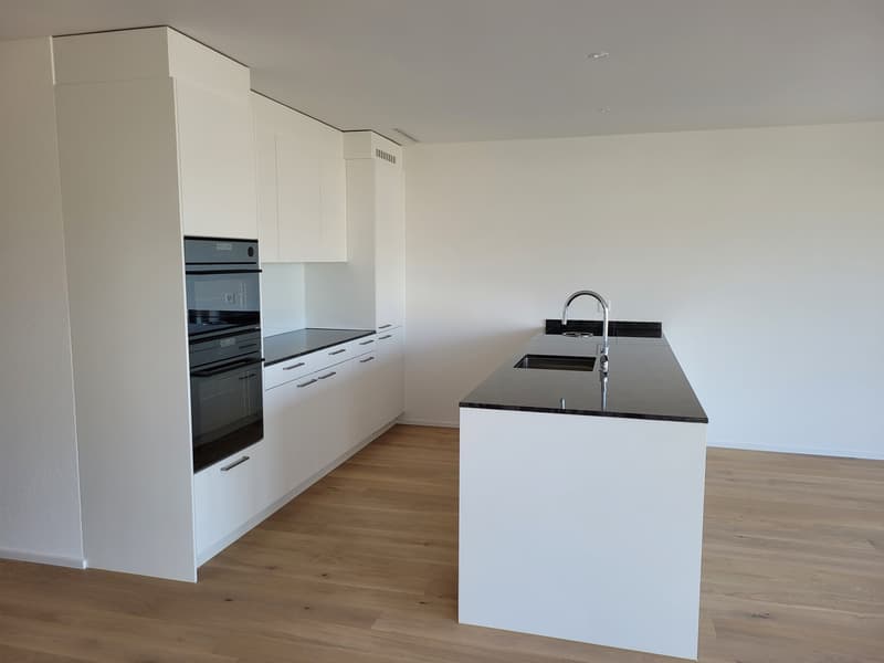Moderne Erdgeschosswohnung mit viel Umschwung (2)